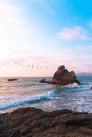 uccelli oceano roccia tramonto foto