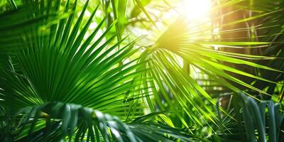 ai generato brillante luce del sole nel un idilliaco verde palma giardino, tropicale vegetazione sfondo bandiera con copia spazio per viaggiare, vacanze e vacanza foto