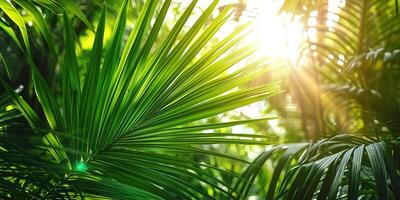 ai generato brillante luce del sole nel un idilliaco verde palma giardino, tropicale vegetazione sfondo bandiera con copia spazio per viaggiare, vacanze e vacanza foto