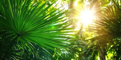ai generato brillante luce del sole nel un idilliaco verde palma giardino, tropicale vegetazione sfondo bandiera con copia spazio per viaggiare, vacanze e vacanza foto