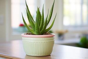 ai generato decorazione stile con un' in vaso aloe Vera succulento foto