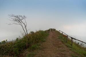 paesaggio Visualizza a piedi sentiero con verde erba copertura tutti e due lati e protezione di recinzione. itinerario teste per il cima della montagna Visualizza punto phu langka. a phu langka phayao Provincia di Tailandia. foto