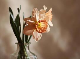 ai generato rosa narciso fiore nel un' chiaro vaso con un' beige sfondo foto