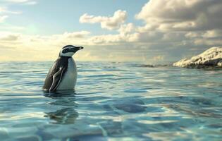 ai generato guardare al di sopra di nero e bianca sagomato pinguino pinguino, foto