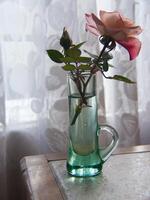 un' vaso con un' singolo rosa nel esso foto