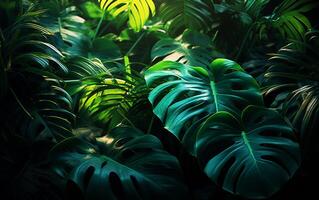 tropicale caleidoscopio esotico Monstera le foglie astratto foto