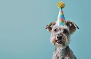 ai generato un' cane nel un' festa cappello su un' blu sfondo, animato gif foto