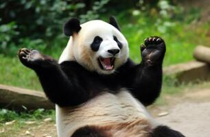 ai generato panda a partire dal della Cina zoo foto