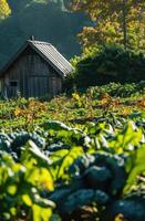 ai generato bellissimo giardino, in crescita cibo, e il contadino chi feed noi vita foto