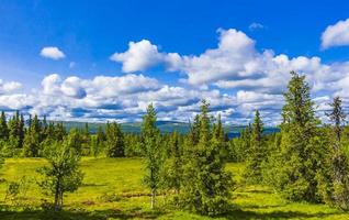 bellissimo panorama con la natura delle montagne della foresta in kvitfjell favang norvegia.