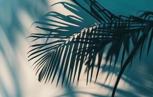 ai generato ombra di palma albero foglia nel pulire, blu, minimalista foto