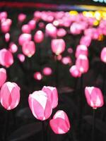 mano fatto tulipano e elettrico leggero lampadina creat per volato leggero fiori celebrare città foto