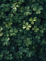 ai generato fresco verde le foglie di trifoglio sfondo. alto qualità. ai generativo foto
