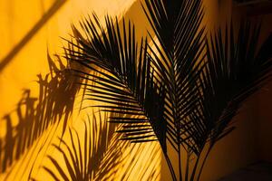 ai generato ombra di un' palma le foglie su un' giallo parete, neurale Rete generato Immagine foto