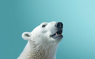 ai generato contento bianca polare orso ritratto di fronte un' blu ombra foto