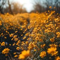 ai generato primavera vendita inviare modello foto