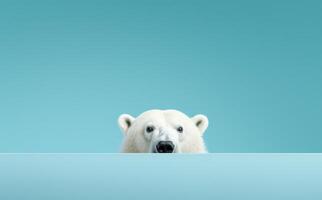 ai generato polare orso vicino un' blu parete foto