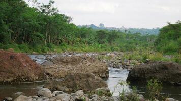 vista sul fiume nel paese asiatico. uno degli angoli del fiume in indonesia foto