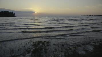 erba e fango nel superficiale acqua con tramonto. creativo. erba nel superficiale acqua con acqua e piccolo onde su orizzonte sfondo. onde e fango mossa con ambientazione sole su estate sera foto