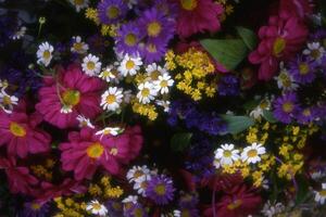 un' mazzo di fiori nel un' vaso foto