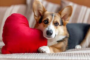 ai generato cucciolo amore canino affetto nel San Valentino cuori foto