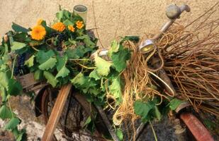 un' bicicletta con fiori e viti su esso foto