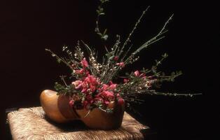 un' vaso con fiori e impianti nel esso foto