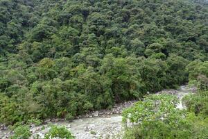 tropicale nube foresta paesaggio, manu nazionale parco, Perù foto