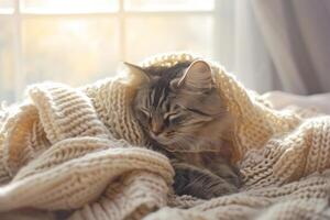ai generato carino gattino riposa su morbido lenzuolo. gatto tra un' a maglia tessuto lenzuolo. generativo ai foto