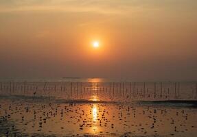 panoramico davanti punto di vista paesaggio viaggio estate mare vento onda freddo vacanza calma costiero grande tramonto cielo leggero arancia d'oro natura tropicale bellissimo barca sera giorno a Bangpoo Samut Prakan Tailandia foto