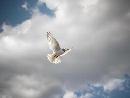 ai generato bianca Piccione o colomba volante nel nuvoloso cielo foto