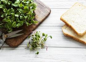 microgreens di ravanello rosso e pane foto