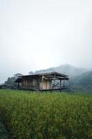 in una capanna di legno in una verde risaia foto