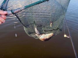 arnesi da pesca per canne da pesca, galleggianti, reti foto