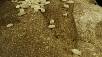 fresco delizioso pane isolato su nero sfondo. azione filmato. vicino su di rustico segale pagnotta di pane con croccante Crosta e caduta semi, concetto di salutare nutrizione. foto