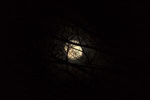 notte cielo e il Luna. foto