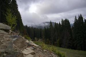 paesaggio nebbioso della foresta di montagna la sera foto