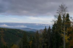 paesaggio nebbioso della foresta di montagna la sera foto