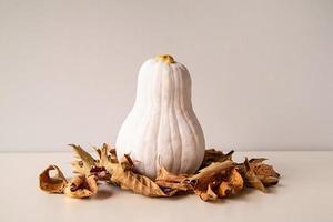 zucca moderna di colore bianco con gambo dorato sul mucchio di foglie autunnali secche sul tavolo bianco foto