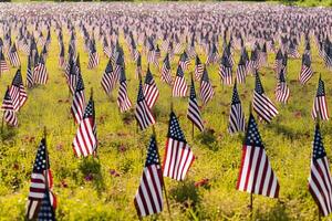 ai generato memoriale giorno omaggio. molti piccolo americano bandiere su un' verde prato, neurale Rete generato fotorealistico Immagine foto