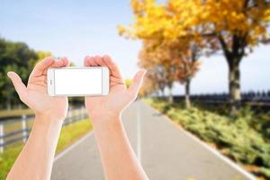 le mani tengono il cellulare su strada sfocata, sfondo del parco, cellulare con schermo vuoto foto