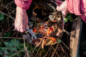 persona chi mettere nel un' composter alcuni cucina rifiuto piace la verdura, frutta, guscio d'uovo, caffè motivo nel ordine per ordinare e rendere bio fertilizzante foto