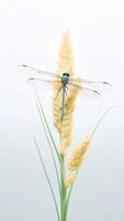 ai generativo avvicinamento macro dettaglio di piccolo bianca mascherato ciuffo damselfly agriocnemis falcifera su verde pianta gambo nel giardino foto