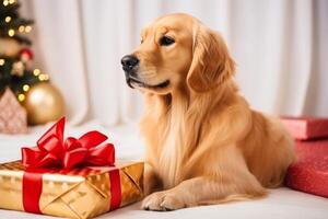 ai generato ritratto carino adorabile di razza d'oro cane da riporto cagnetto cucciolo animale domestico cane regalo scatole giocattoli regali Natale albero luci nuovo anno vigilia natale festivo decorazioni vacanza festeggiare interno foto