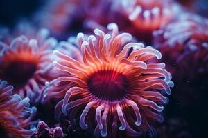 ai generato subacqueo bellissimo colorato danza scogliera anemone gruppo corallo tropicale animale anemonefish natura sale acqua pesce serbatoio acquario. ecologia boccaglio immersione ecosistema ambientale Salva pianeta foto