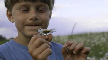 un' bellissimo occhi azzurri ragazzo. creativo. un' piccolo bambino con un' carino viso a piedi attraverso un' camomilla campo e guardare a piccolo fiori. foto