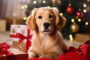 ai generato vicino su carino adorabile di razza curioso soffice d'oro cane da riporto labrador cucciolo famiglia animale domestico cane cagnetto esplorando nuovo anno regalo scatola presente Natale albero natale vacanze festivo decorazioni foto