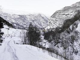 bella vista idilliaca dalla strada al villaggio, framfjorden, norvegia. foto