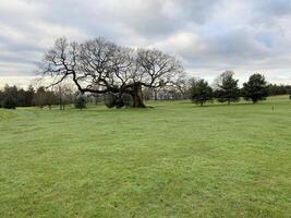 una vista della campagna del Cheshire a Carden Park foto
