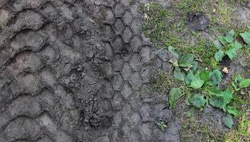 il vivente erba di il prato è scavata su di brani a partire dal un' pesante camion dettagliato azione foto